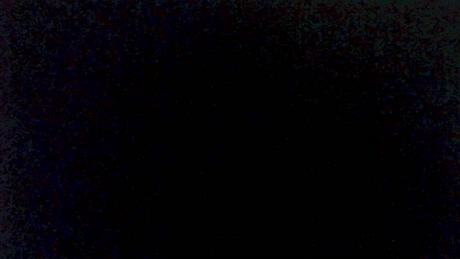 violetta_dante  26-02-2022